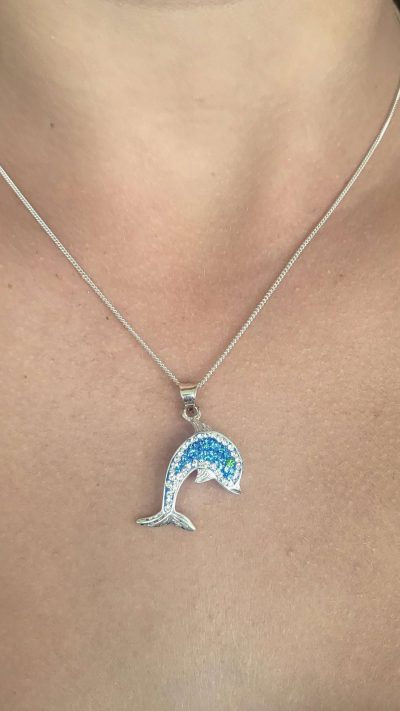 Necklace with dolphin