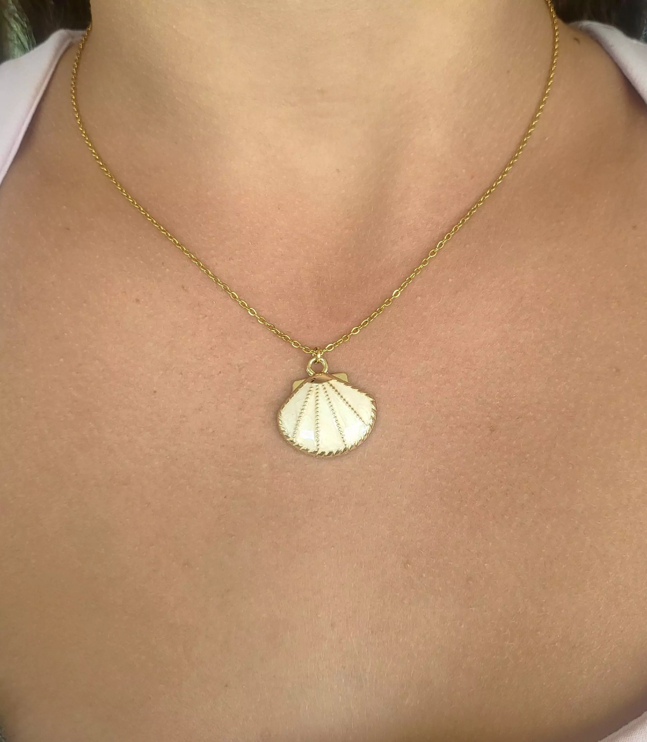 Necklace with enamal shell