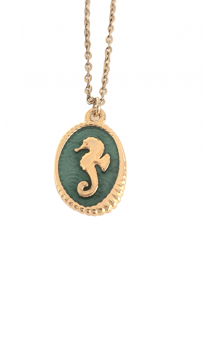 Necklace with enamal seahorse