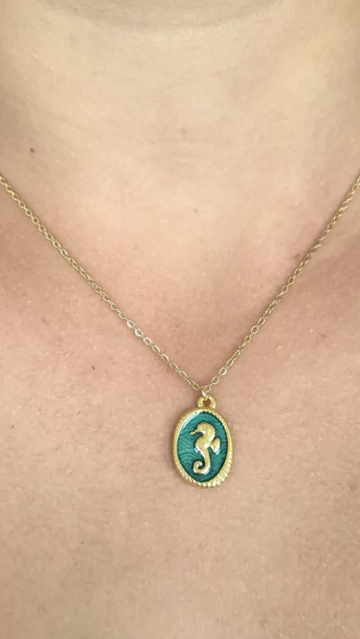 Necklace with enamal seahorse